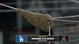 Dodgers vs. Diamondbacks delayed by bees. Yes, bees