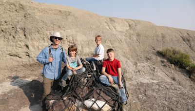 Fósil de un tiranosaurio adolescente, el gran descubrimiento de tres niños en EUA