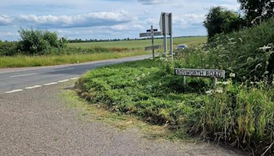 Villagers take grass verge mowing into own hands