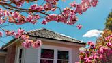 How to get a lower mortgage rate this spring