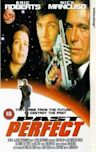 Past Perfect (1996 film)