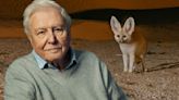 David Attenborough's Mammals shows 'cruel' fate of desert foxes