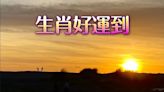 12生肖本周運勢｜羊、狗運勢強勁 牛、虎幸福甜蜜 鼠、兔須步步為營