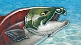 Giant ancient 9-foot ‘super salmon’ had ‘tusk-like teeth’ to fight predators