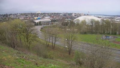 Northwest Youth Corps awarded grant to plant more trees around Tacoma