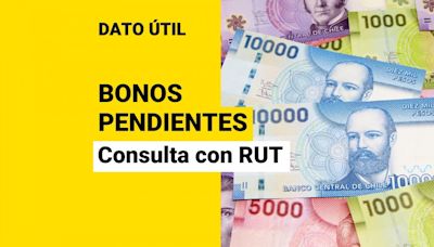 ¿Cómo saber si tengo bonos sin cobrar? Consulta con tu RUT si hay beneficios o pensiones a tu nombre