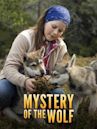 Mystery of the Wolf