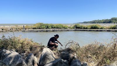 Where is the alligator in Lake Erie? Tracks spotted on search's third day