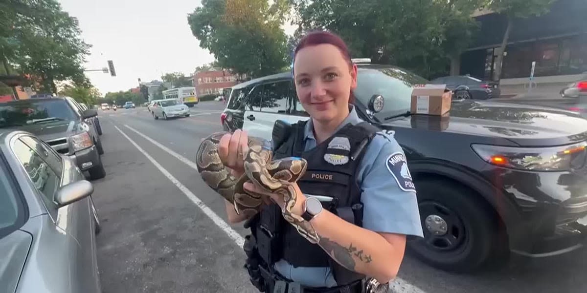 Snake found in backseat of rideshare car