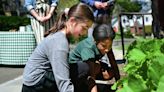 Greenwich students unearth history of 4 more of town's enslaved people for historical markers