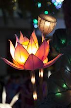 Lotus Lantern 1 | Paper lanterns, Lanterns, Vintage lanterns