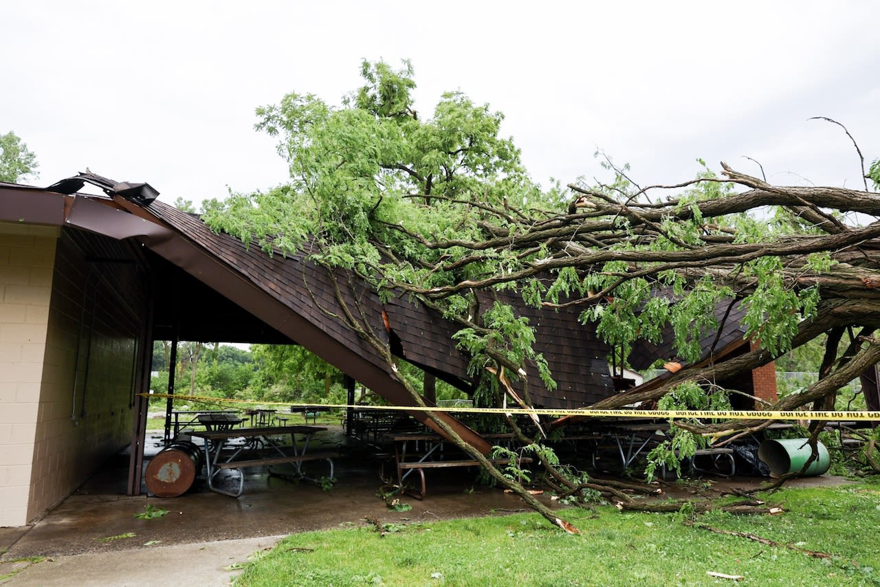 2-year-old killed in Livonia tornado was sleeping with mom when tree fell on their house
