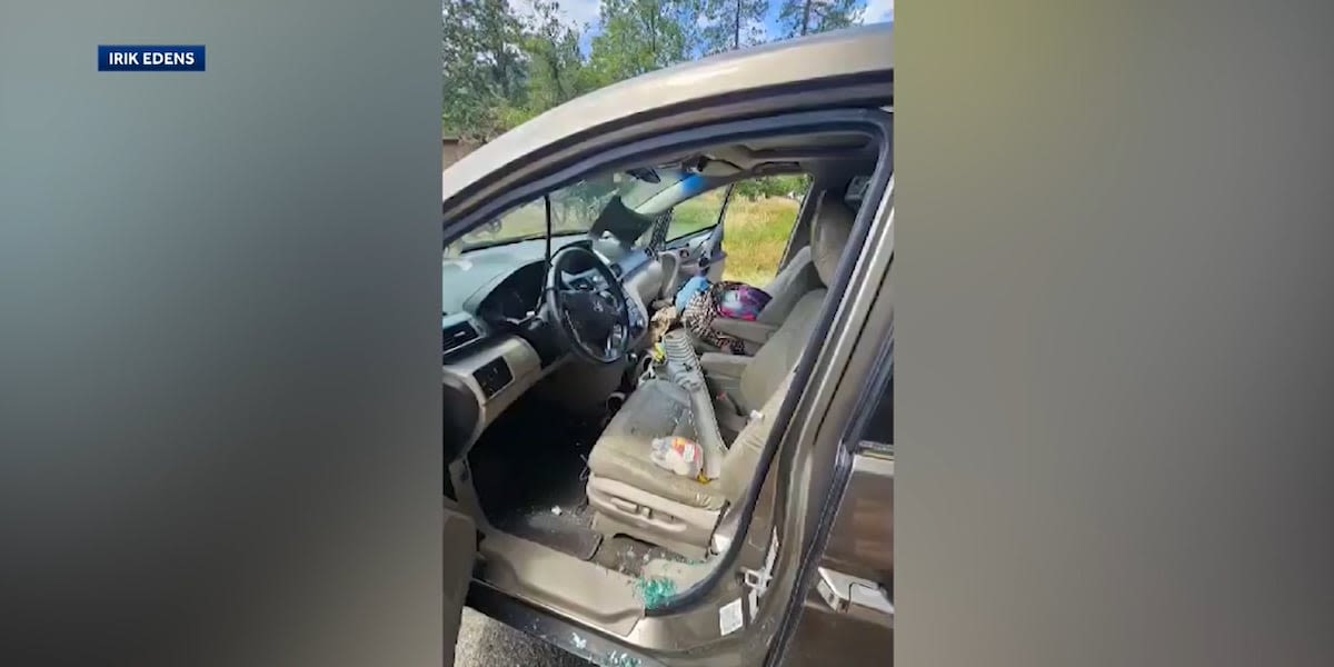 Bear destroys family’s van on camping trip, defecates inside: ‘It stinks in there’