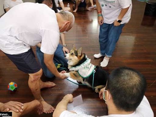 高雄戒治所引入動物輔助治療 毛小孩用愛融化收容人