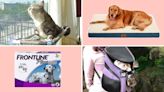 From dog beds to cat scratchers, here are the best pet deals at Amazon