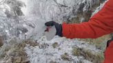 第二波寒流來襲！ 太平山降冰霰成冰雪世界