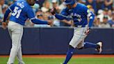 Blue Jays Rays Baseball