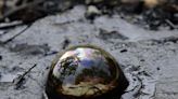 'A story of extinction.' La Brea Tar Pits recognized as a geological heritage site