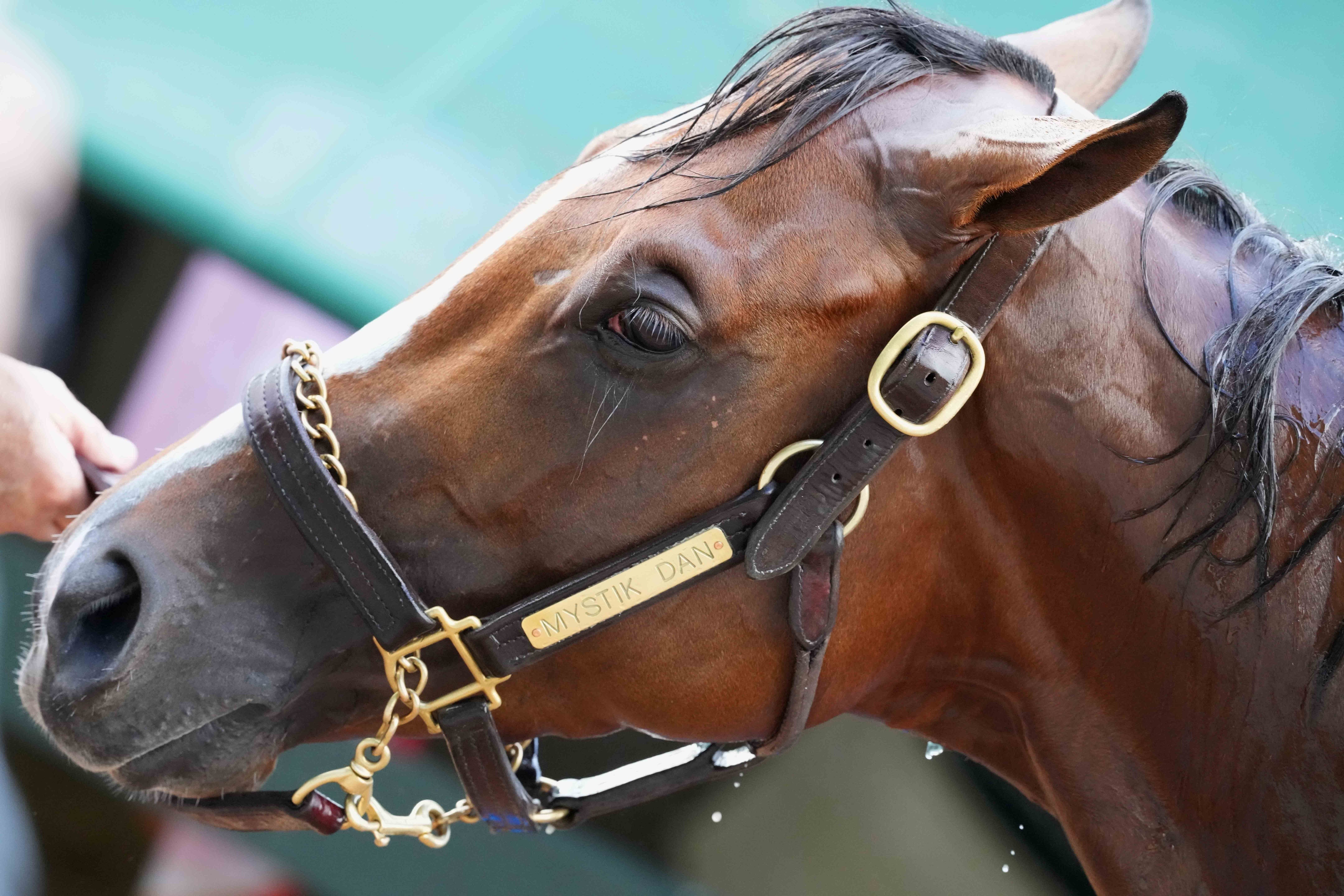 2024 Preakness Stakes: Latest odds heading into the second jewel of the Triple Crown