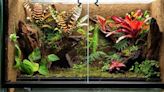 Make Your Space Greener With a Self-Sustaining Terrarium