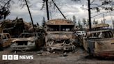 Images show destruction after Jasper fire in Canada