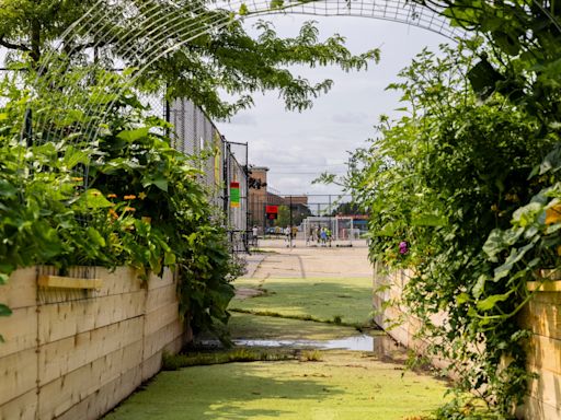 New community garden transforms downtown Grand Rapids parking lot