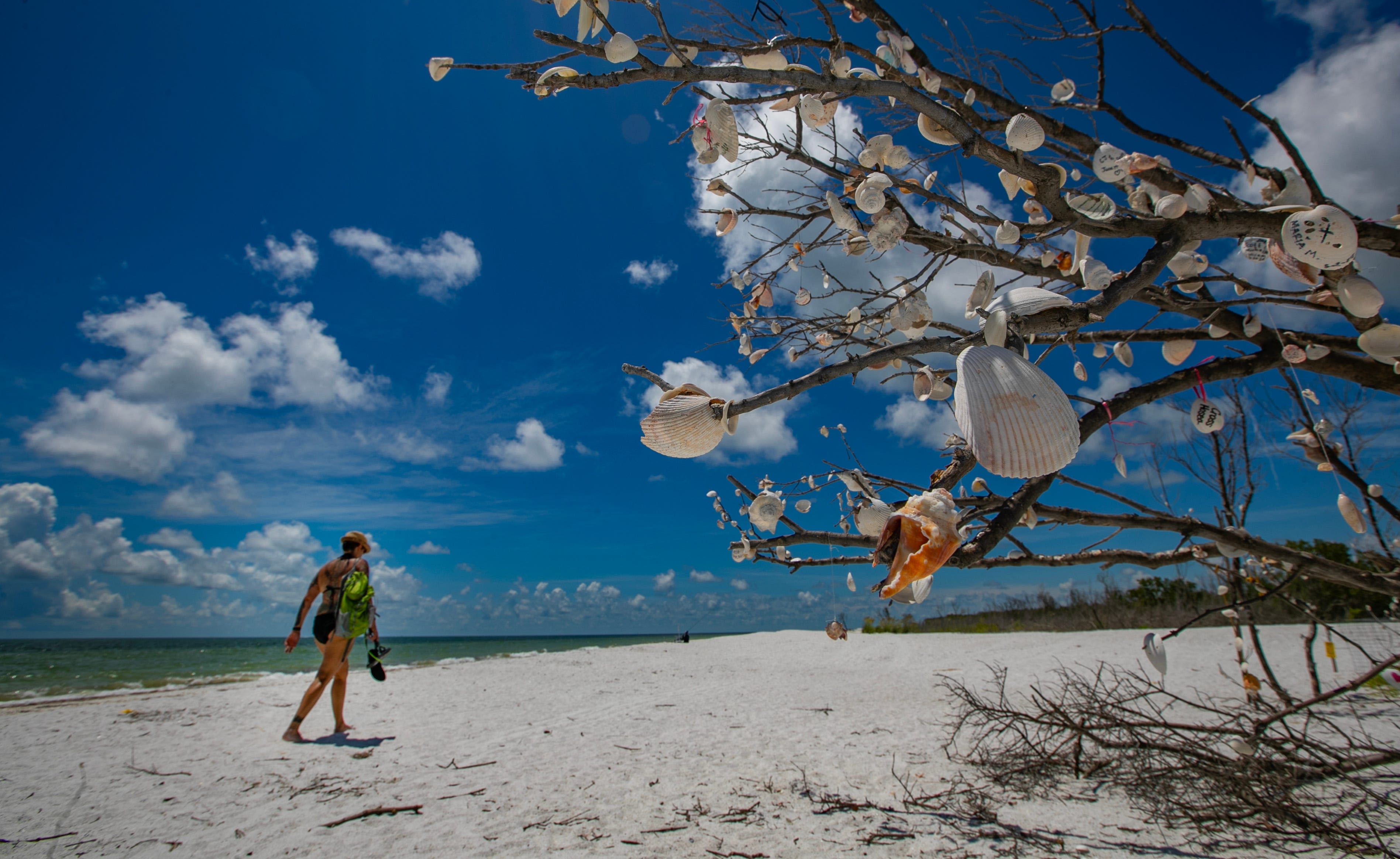 Collier County has some of the most beautiful beaches in the world. Here's a guide for summer