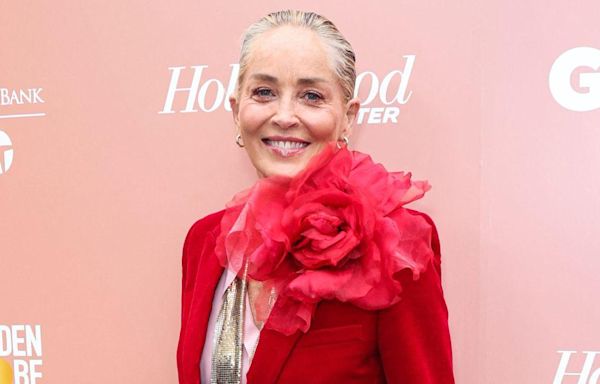 Sharon Stone, 66, Goes Topless, Wears Only Bikini Bottoms While Painting: See the Saucy Photo