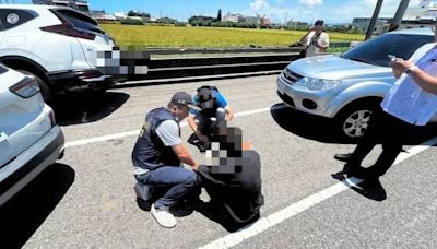 想拜大甲媽求工作 無業男偷車衝鎮瀾宮再加霸王油 遭警包抄2小時落網