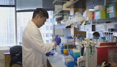 Chicago researchers help identify potential cure for lupus