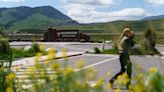 Man accused of kicking bison at Yellowstone National Park