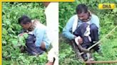 Viral video: 15-foot python attacks and nearly swallows Jabalpur man, here's how locals save him, watch