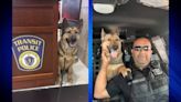 Transit Police announces sudden death of active duty K9