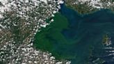 Smaller-than-average harmful algal bloom predicted for Lake Erie this summer