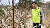 花壇虎山巖李花美景上映 李成濟議員邀祈福踏青賞花趣