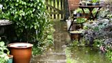 How to Prepare Your Lawn for Flooding and Help It Bounce Back