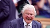 Sir David Attenborough and David Beckham among stars at Wimbledon