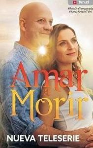 Amar a morir (TV series)