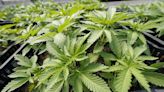 Concerned citizens oppose new pot shop