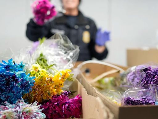 ¡No sólo drogas!, prohíben la entrada a Estados Unidos desde México a estas flores para el Día de las Madres