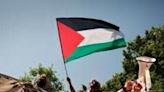 Demonstrations against Israel's war in Gaza have rocked college campuses across the United States