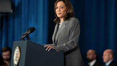 Democratic consensus solidifies around Harris, should Biden step aside