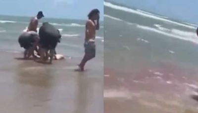 Shocking Video: Water Turns Red After US Woman Gets Bitten By Shark - News18