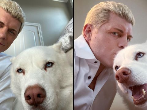 WWE’s Cody Rhodes Reveals Why His Dog Pharaoh Won’t Join Him on Tours Anymore