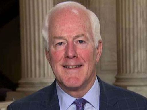 Senator John Cornyn Calls Out The Left's Rhetoric Saying Donald Trump's A Threat To Democracy After A ...