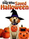 The Dog Who Saved Halloween