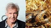 ‘Snakes. Why did it have to be snakes?’: Harrison Ford jokingly laments new snake species named after him