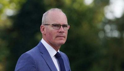 Former tánaiste Simon Coveney will not stand in next general election - Homepage - Western People