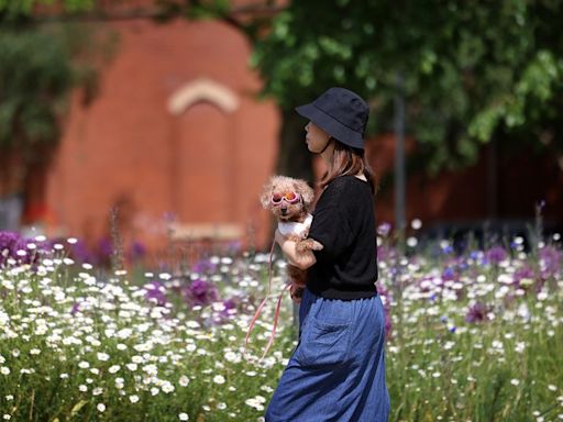 Met Office verdict on how long hot weather will last in Manchester