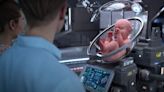 That Artificial Womb Video Isn't Real, But Scientists Say It Could Be